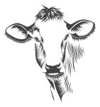 Detailed Cow Line Art